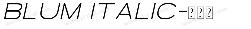 Blum Italic字体转换